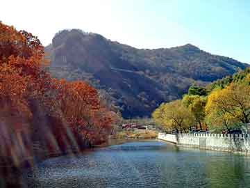 管家婆黑白马报图库，地盾宝理财